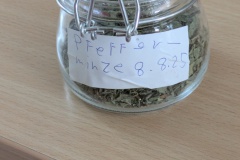 PXL_20250808_111539040.MP_