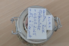 PXL_20250808_111557487