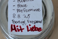 PXL_20250808_111602237.MP_