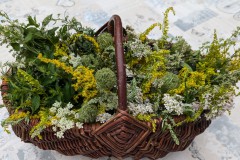 trashed-1724692881-PXL_20240727_062314896