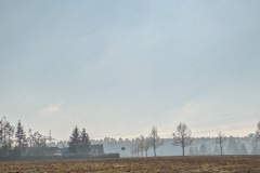 PXL_20250119_120157809.MP2_