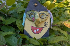 PXL_20250513_073614465.MP_