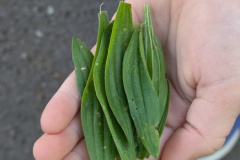 PXL_20250513_074721385.MP_