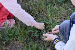 PXL_20250513_0756352592