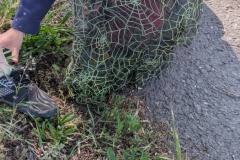 PXL_20250513_075654637