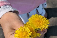 PXL_20250513_080352315