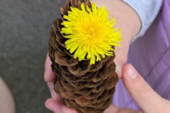 PXL_20250513_081337588