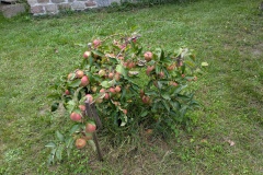 PXL_20250914_153952423