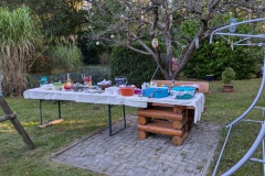 PXL_20240929_154549649