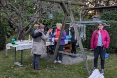 PXL_20240929_163753720.MP_