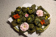 PXL_20240721_100833028