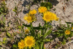 PXL_20240721_120616683