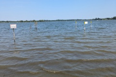 PXL_20240721_120728395