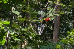 PXL_20240827_093303025