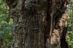 PXL_20240827_0935125102