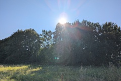 PXL_20240828_070224521