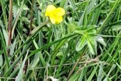 1_IMG-20230520-WA0021