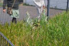 1_IMG-20230520-WA0033