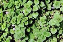 1_IMG-20230520-WA0045