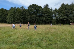 Kräuterwanderung am 25. August 2024