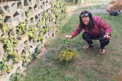 zuviel-Schnur-vielleicht