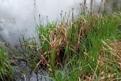 Natur pur, Nahrung für Körper, Geist und Seele