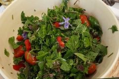 ...unser Wildkräutersalat ein wenig verfeinert mit Paprika und Tomaten