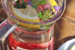 IMG-20250405-WA0040