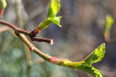 PXL_20250404_103243882