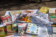 PXL_20250405_072624370