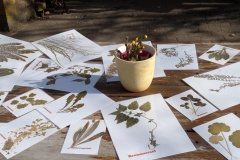 PXL_20250405_072630182