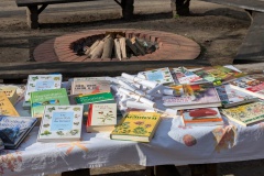 PXL_20250405_072641226