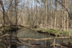 Screenshot_20250405-200643