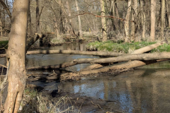 Screenshot_20250405-200649