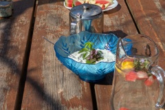 trashed-1746528098-PXL_20250405_104622215