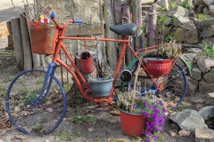 trashed-1746528277-PXL_20250405_072658392