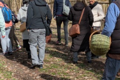 trashed-1746528277-PXL_20250405_083258191