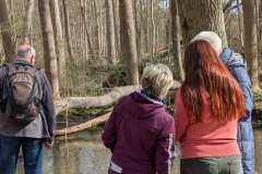 trashed-1746528277-PXL_20250405_083301794