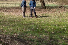 trashed-1746528479-PXL_20250405_094233451