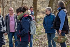 trashed-1746528501-PXL_20250405_094247235