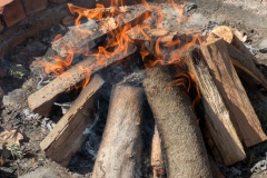 trashed-1746528501-PXL_20250405_100804236