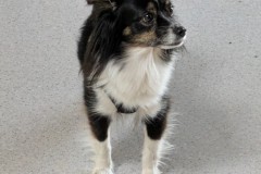 trashed-1746528525-PXL_20250405_1015340612