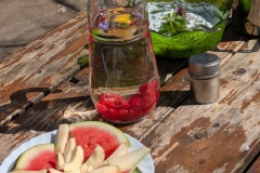 trashed-1746528549-PXL_20250405_104607791