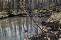 trashed-1746528549-Screenshot_20250405-200630