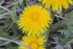 PXL_20260408_084018830.MP_