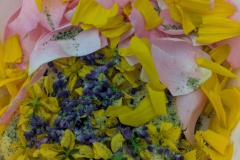 PXL_20250905_170435169