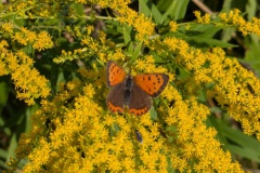 PXL_20250906_141835960