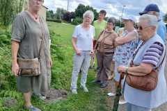 Seniorentreff Plaue Kräutertour  16. Juli 2024