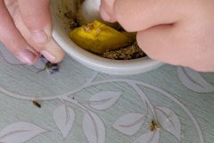 PXL_20250924_072651205