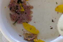 PXL_20250924_072717980